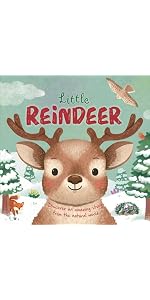 Nature Stories: Little Reindeer: IglooBooks, Green, Willow